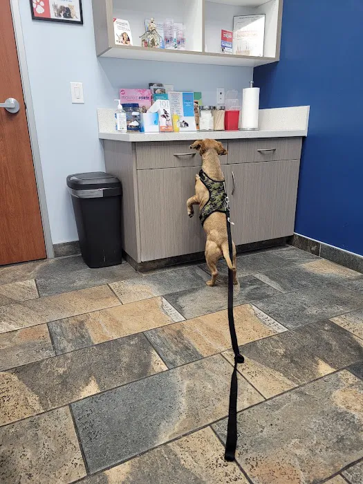 Rancho West Animal Hospital 12