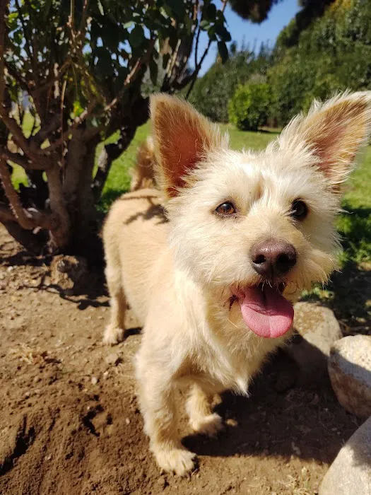 Rancho West Animal Hospital 12