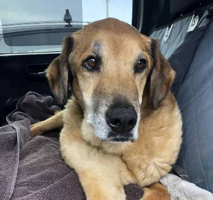Rancho West Animal Hospital 12