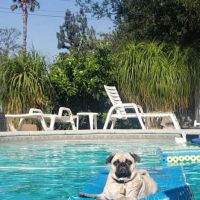 Rancho West Animal Hospital ico