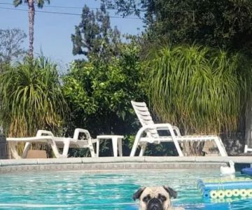 Rancho West Animal Hospital