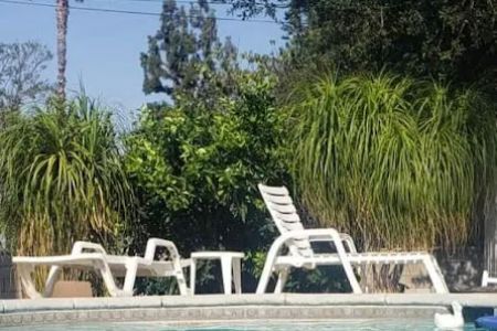 Rancho West Animal Hospital