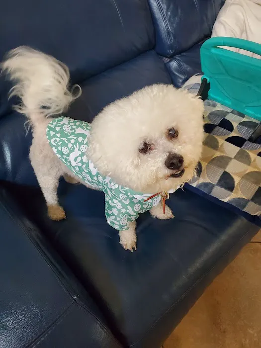 Rancho West Animal Hospital 12