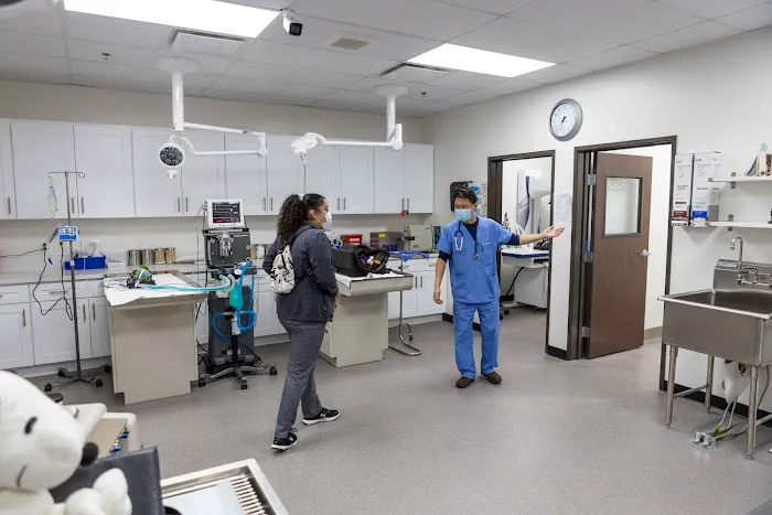 Graceful Animal Hospital 12