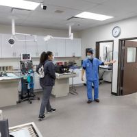 Graceful Animal Hospital ico