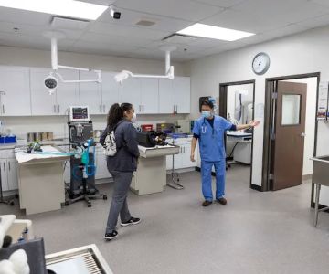 Graceful Animal Hospital