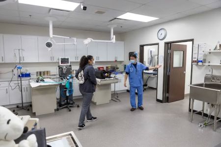 Graceful Animal Hospital