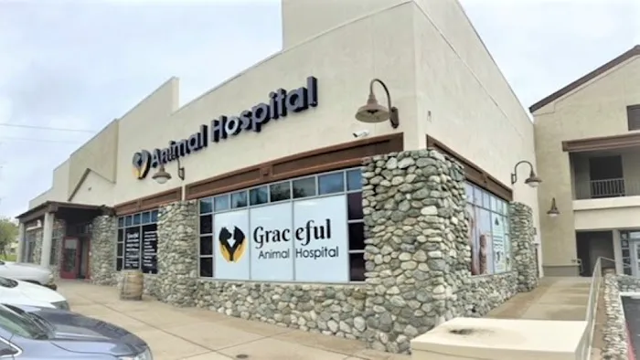 Graceful Animal Hospital 12