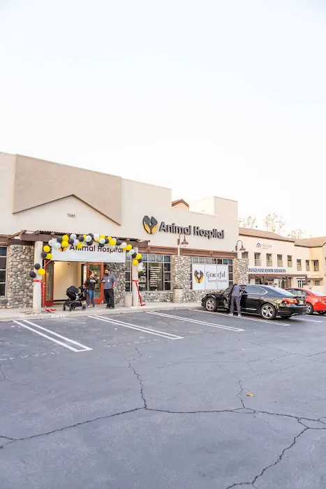 Graceful Animal Hospital 12