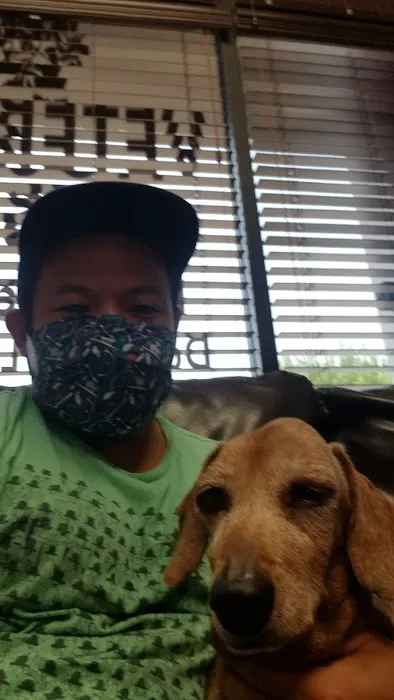 Home Vet House Call Services 12