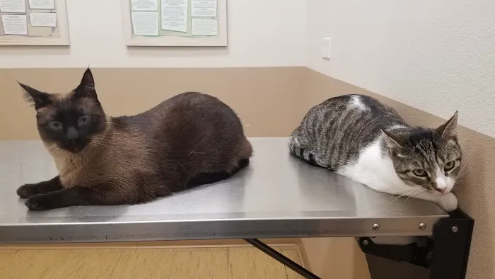 Golden Oaks Veterinary Hospital 12