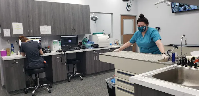 New Haven Animal Hospital 12
