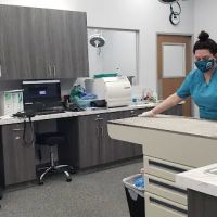 New Haven Animal Hospital ico