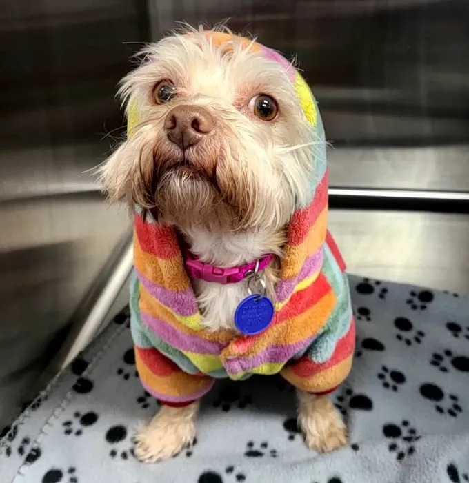 New Haven Animal Hospital 12