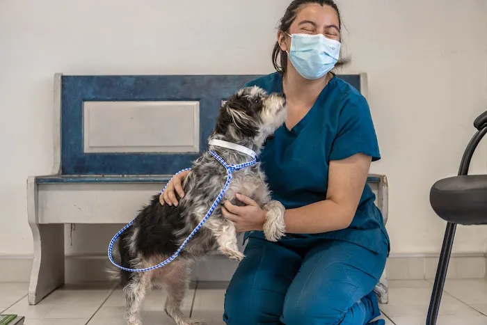 Alta Rancho Pet & Bird Hospital 3