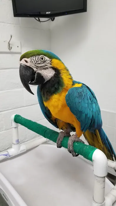 Alta Rancho Pet & Bird Hospital 8
