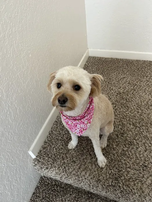 Alta Loma Animal Hospital 12