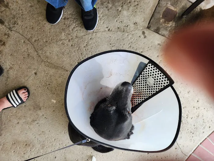 Alta Loma Animal Hospital 12