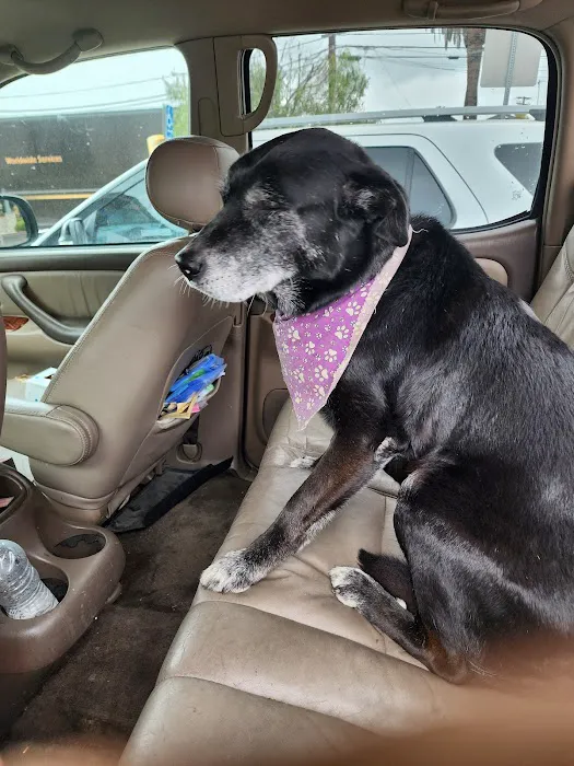 Alta Loma Animal Hospital 12
