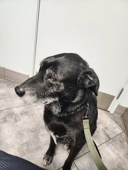 Alta Loma Animal Hospital 12