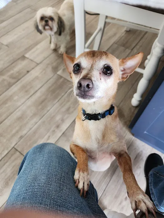 Alta Loma Animal Hospital 12