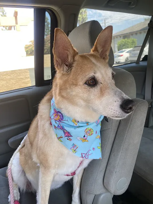 Alta Loma Animal Hospital 12