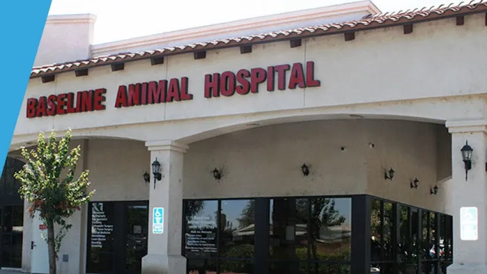 Baseline Animal Hospital, Boarding, & Grooming 12