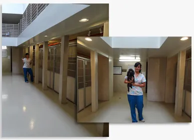 Baseline Animal Hospital, Boarding, & Grooming 12