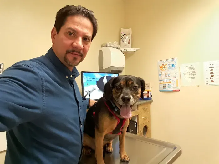 Baseline Animal Hospital, Boarding, & Grooming 12