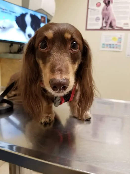 Baseline Animal Hospital, Boarding, & Grooming 12