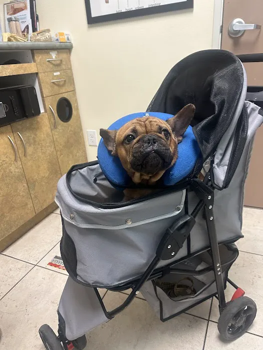 Baseline Animal Hospital, Boarding, & Grooming 12