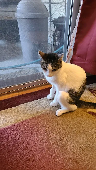 Ontario Spay and Neuter 12