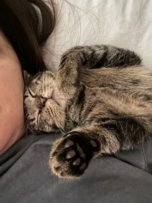 Ontario Spay and Neuter 12