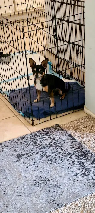 Ontario Spay and Neuter 12