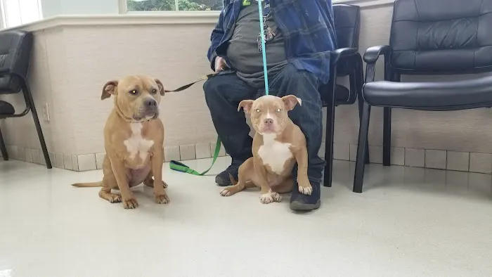 Parker Way Veterinary Clinic 12