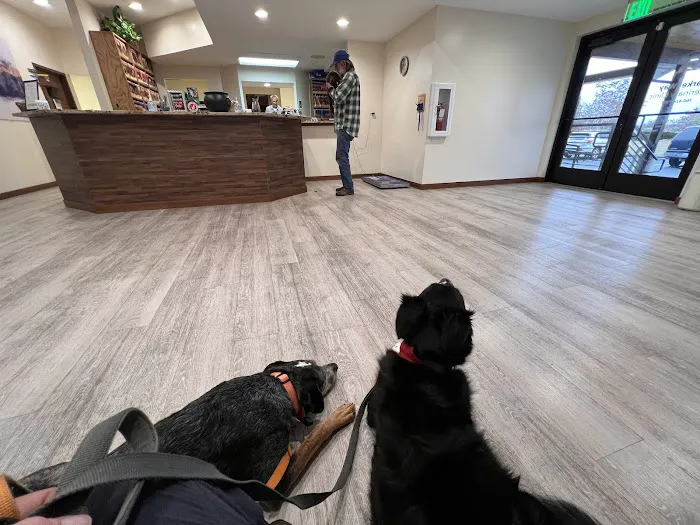 Parker Way Veterinary Clinic 12