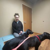 Parker Way Veterinary Clinic ico