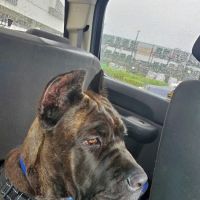 Parker Way Veterinary Clinic: Broda Martha L DVM ico