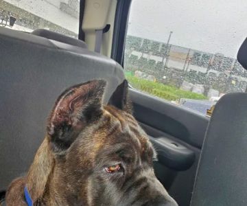 Parker Way Veterinary Clinic: Broda Martha L DVM