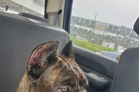 Parker Way Veterinary Clinic: Broda Martha L DVM