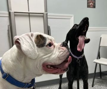Riverside Veterinary Care