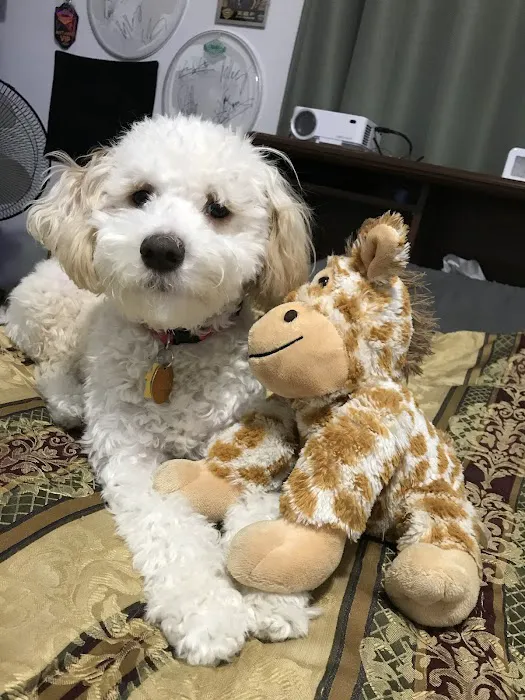 Animal Care Center 12