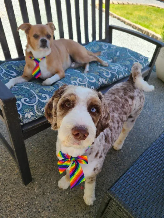 College Way Animal Hospital, A Thrive Pet Healthcare Partner 2