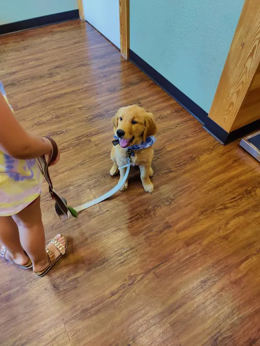 College Way Animal Hospital, A Thrive Pet Healthcare Partner 6
