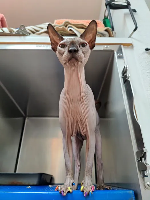 College Way Animal Hospital, A Thrive Pet Healthcare Partner 9
