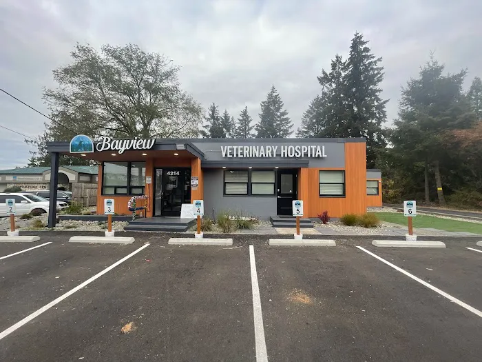 Bayview Veterinary Hospital 12