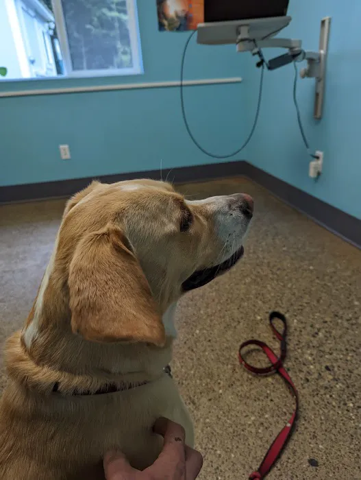Cedar Creek Animal Clinic, A Thrive Pet Healthcare Partner 12