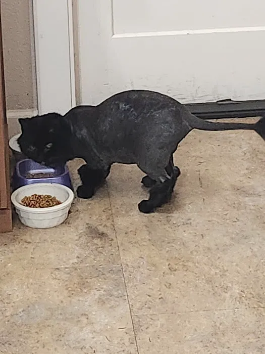 Timber Ridge Animal Hospital 8