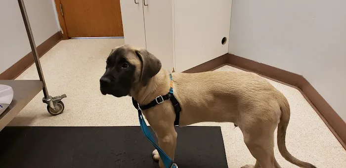 Timber Ridge Animal Hospital 7