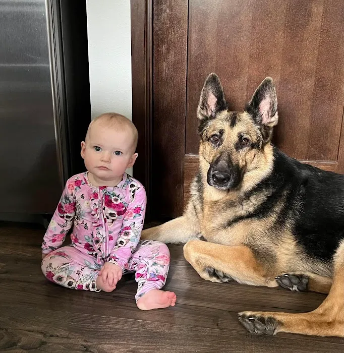 McMillin Animal Hospital 12